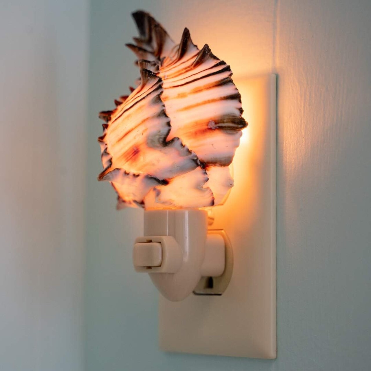 Seashell Night Light 1 piece Black Murex Seashell Plug in Night Light
